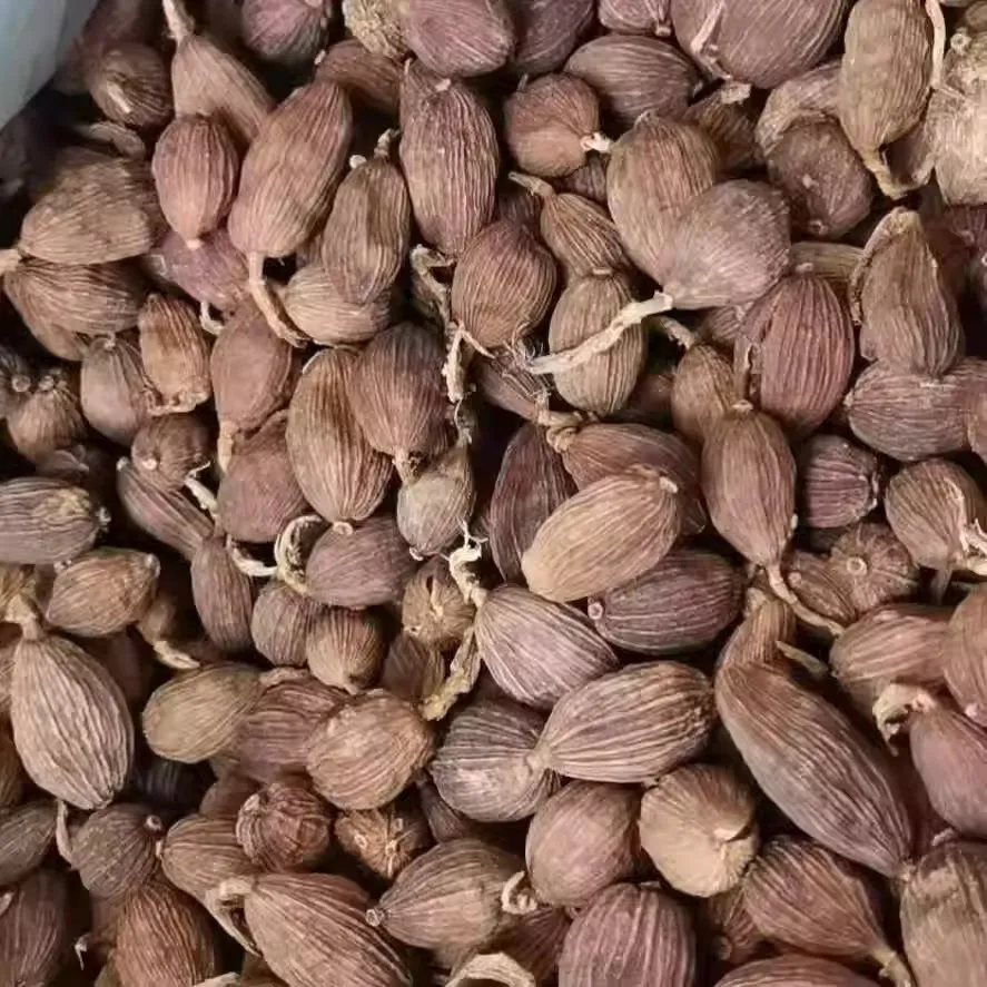 无烟环保干草果